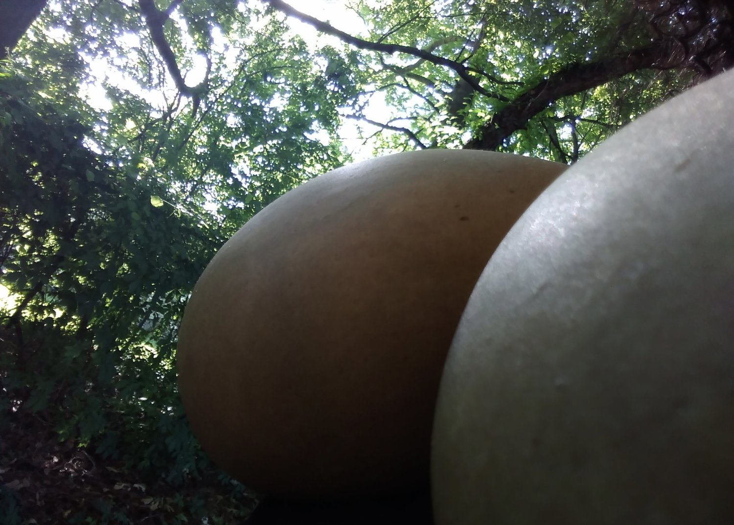 J3|\|\|!_k|\|!9|-|t_24 #dxuY05a1