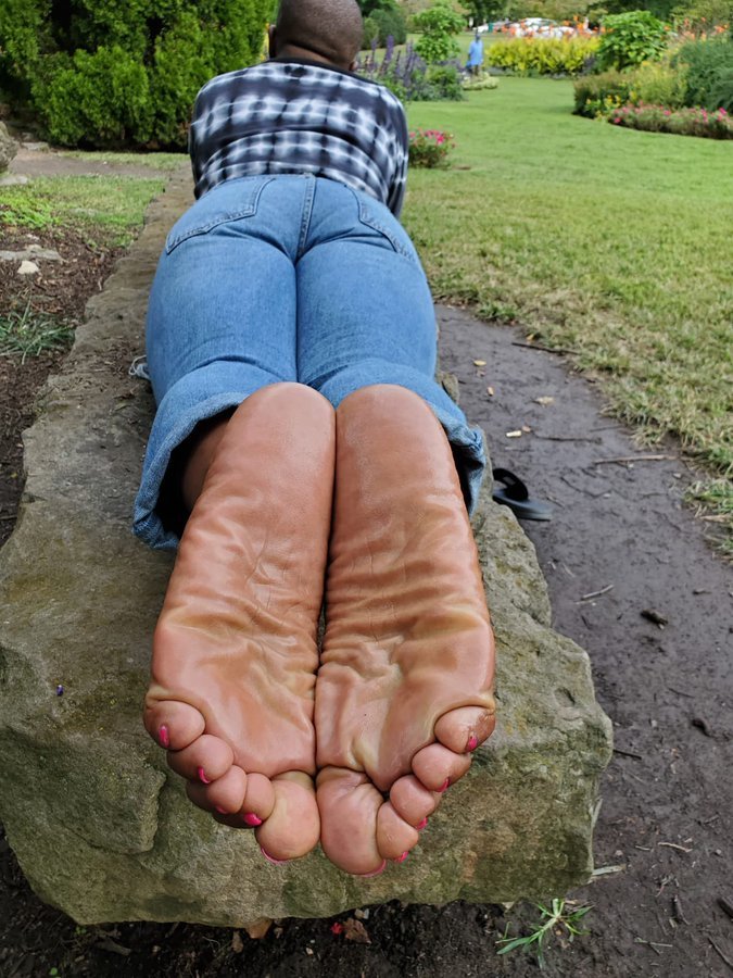 FiZHB55XwAA7CSz #DccFnqib