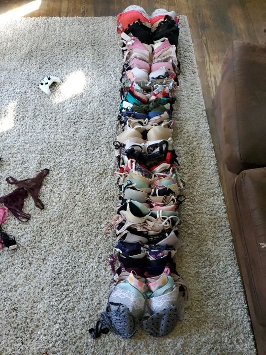 About 75 percent of all the raided bras #EBxKy2fK