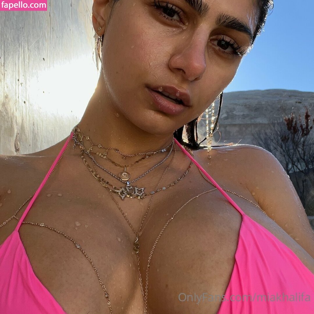 Middle Eastern Melons #LhVnUWtR