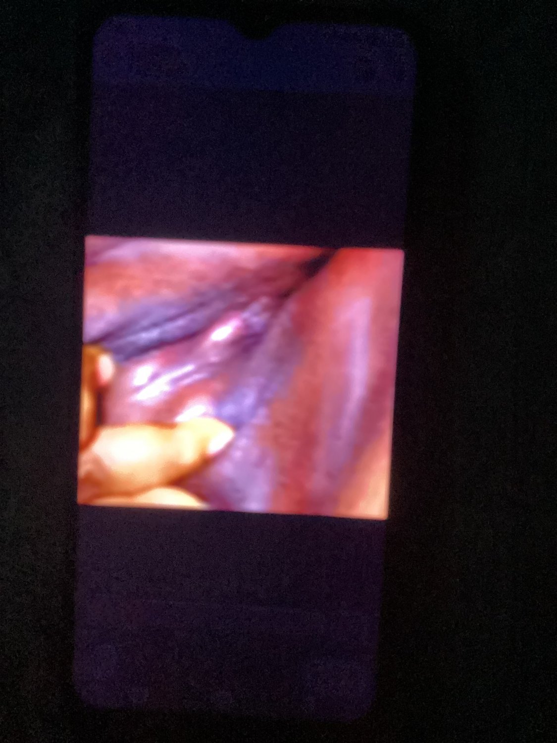 IMG-20220717-WA00_Original #hNhdwBv8