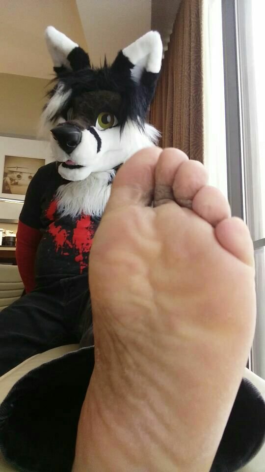 Murrsuiter Feet #13 #3ZoiSFD8