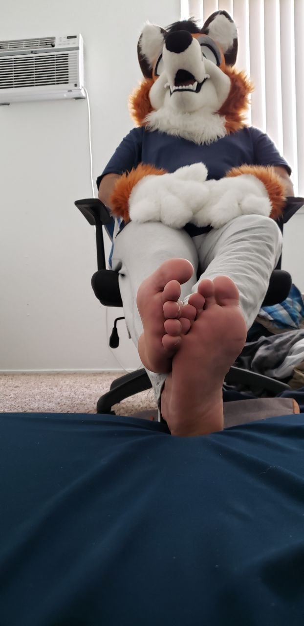 Murrsuiter Feet #13 #CUOmG7FM