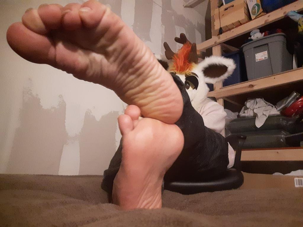 Murrsuiter Feet #13 #CgD4Vdfj