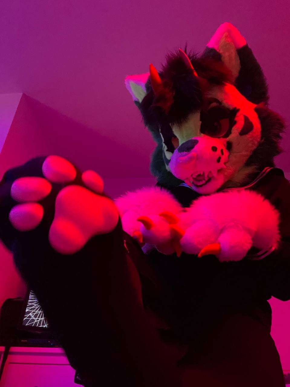 Murrsuiter Feet #13 #LGyeUxra