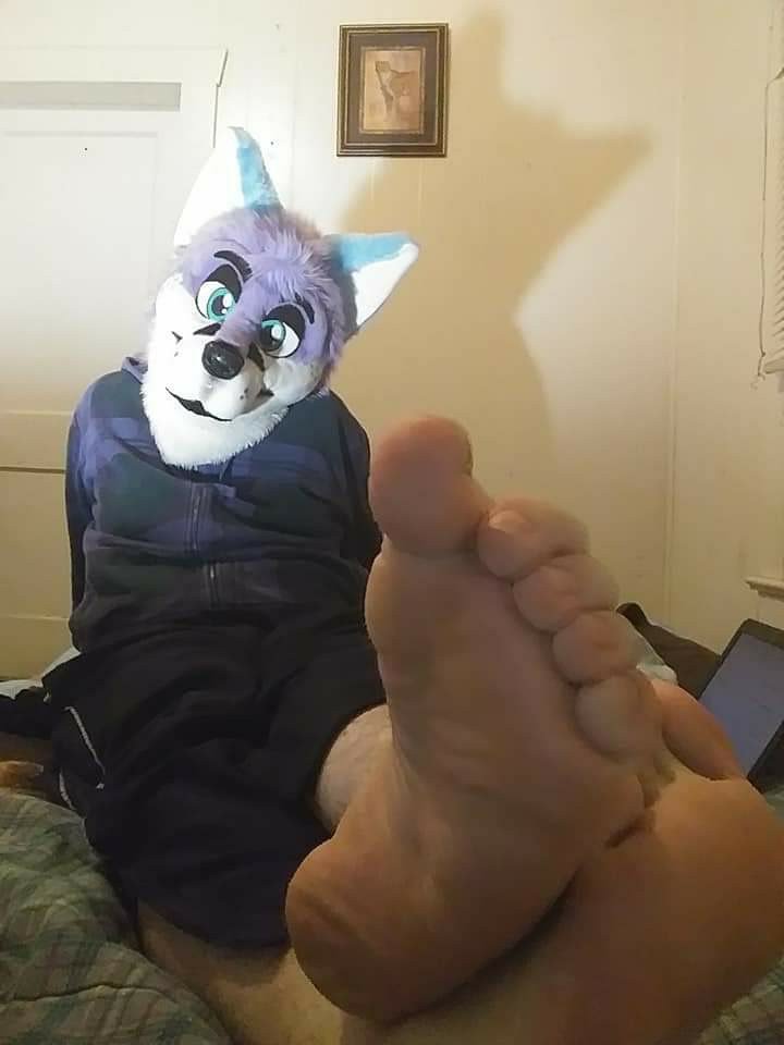 Murrsuiter Feet #13 #dOXnJWwV