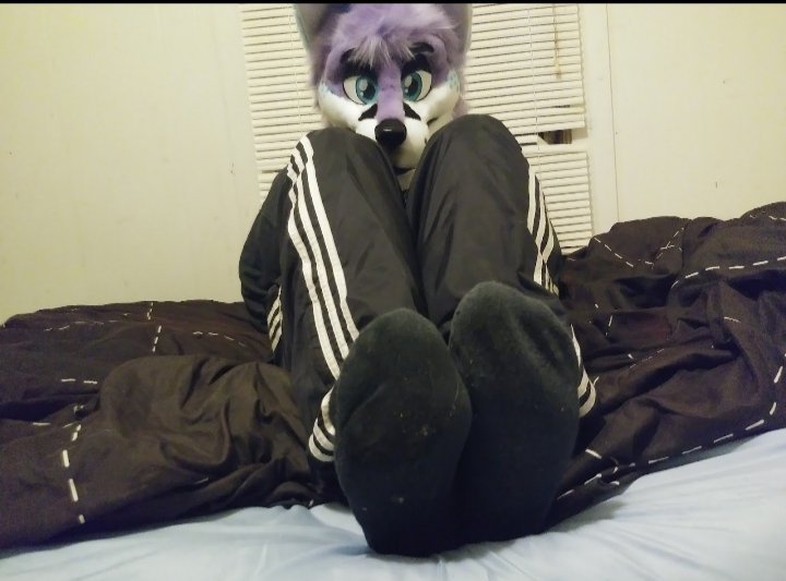 Murrsuiter Feet #13 #hUZtCOxg