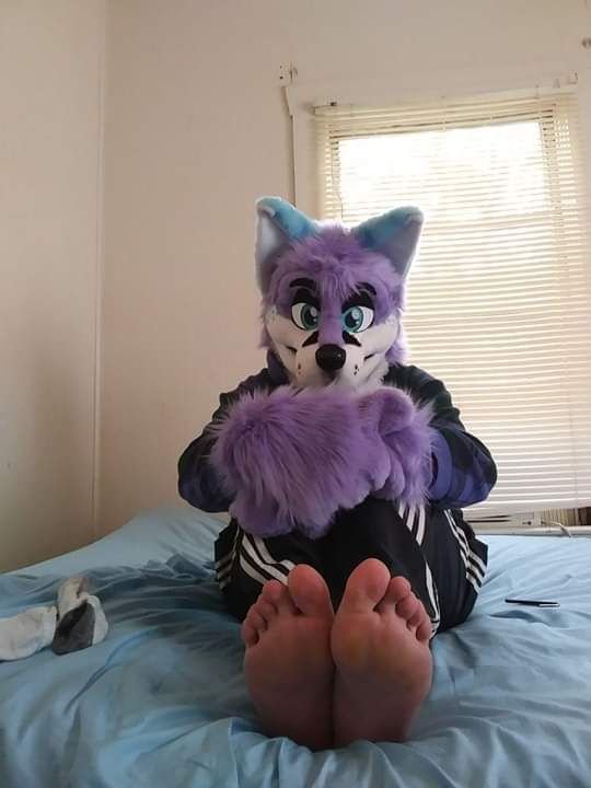 Murrsuiter Feet #13 #ra6AvqWe