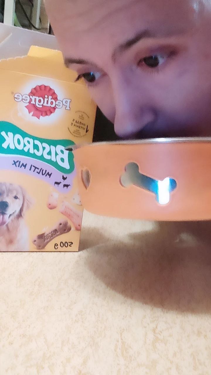 Pathetic Faggot Julien eating dog food #2E55vcJy