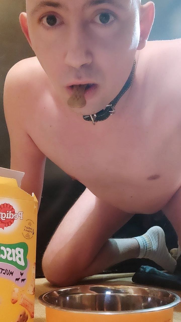 Pathetic Faggot Julien eating dog food #kHStrXWL