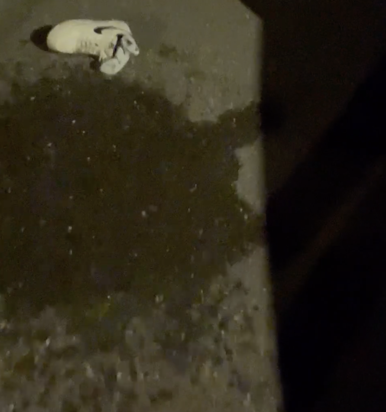 PAWG Foot Girl Squirting in Parking Lot #CxH1urk8