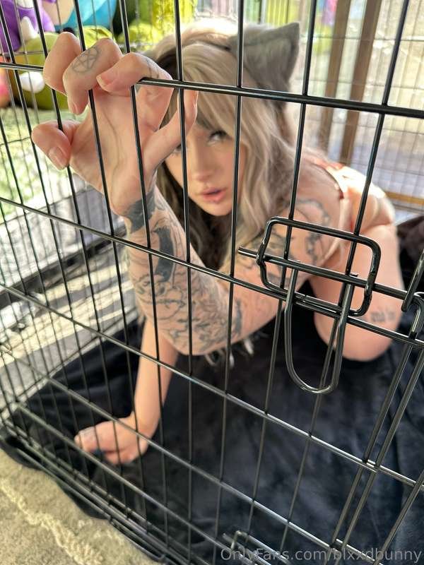 oral fixation/ leash choking / cage bj #xM708YUg