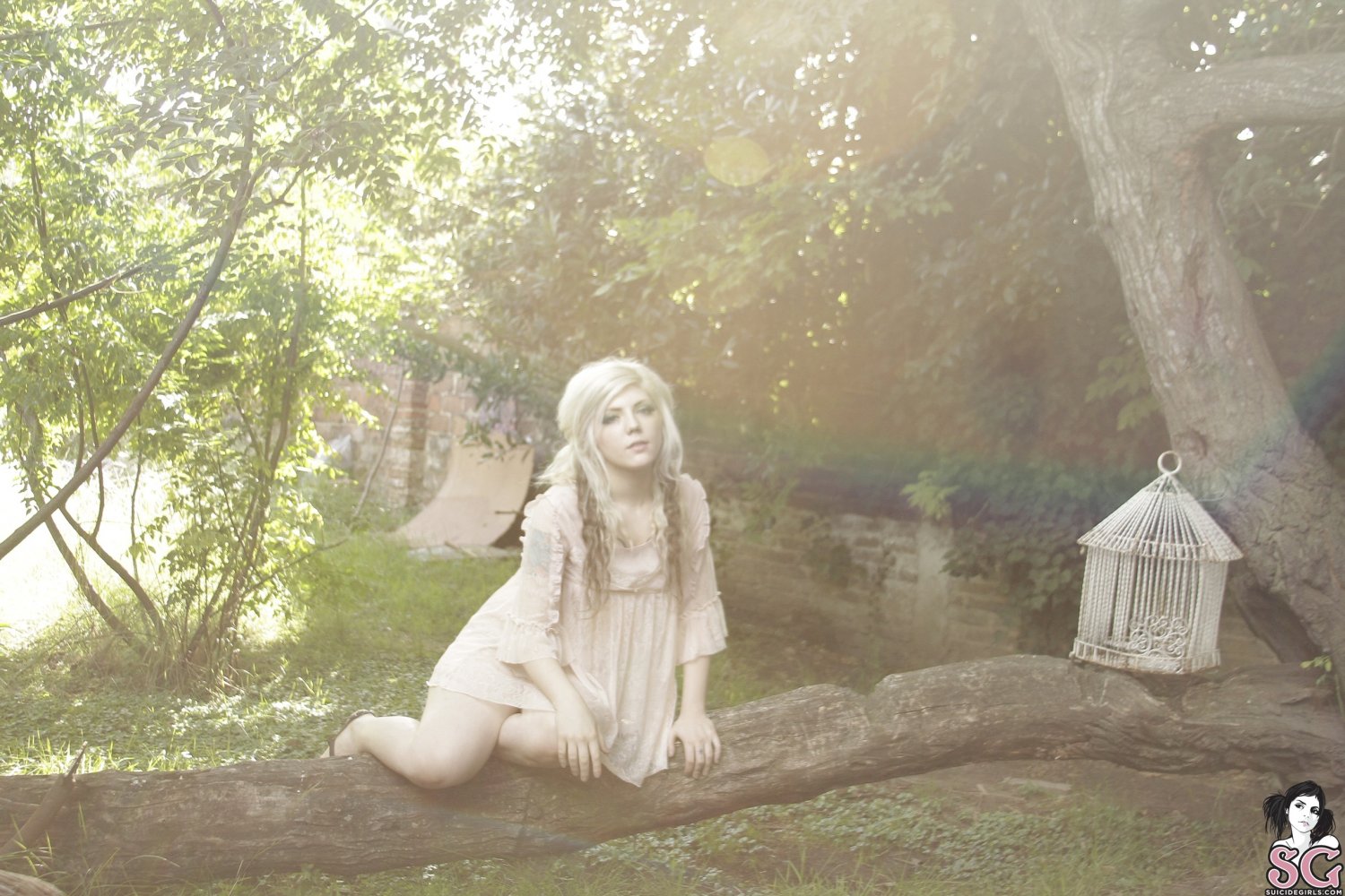 Lawita suicide #oizi6dnZ