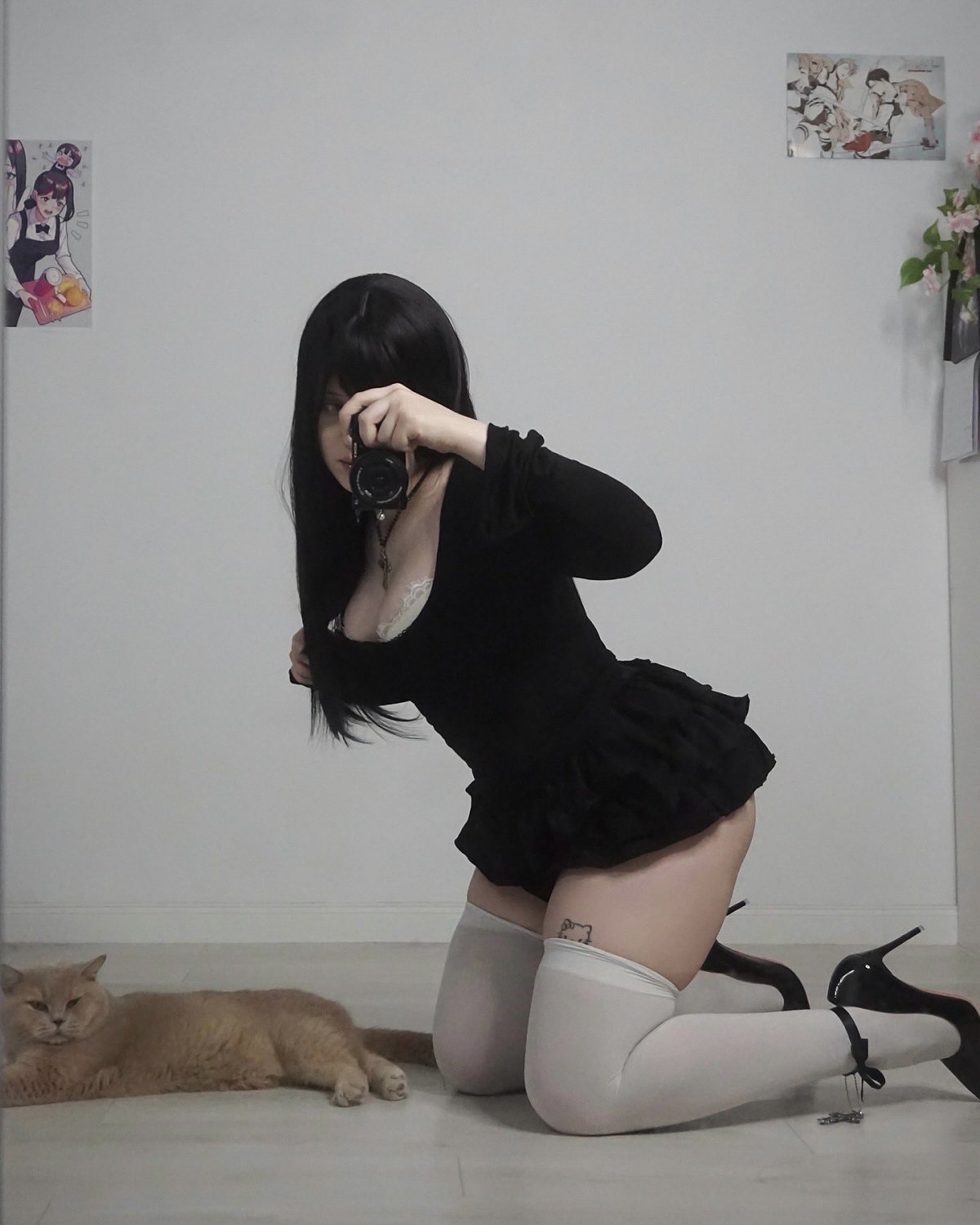 Itsandakitty ( 114 #rxIUvJkZ